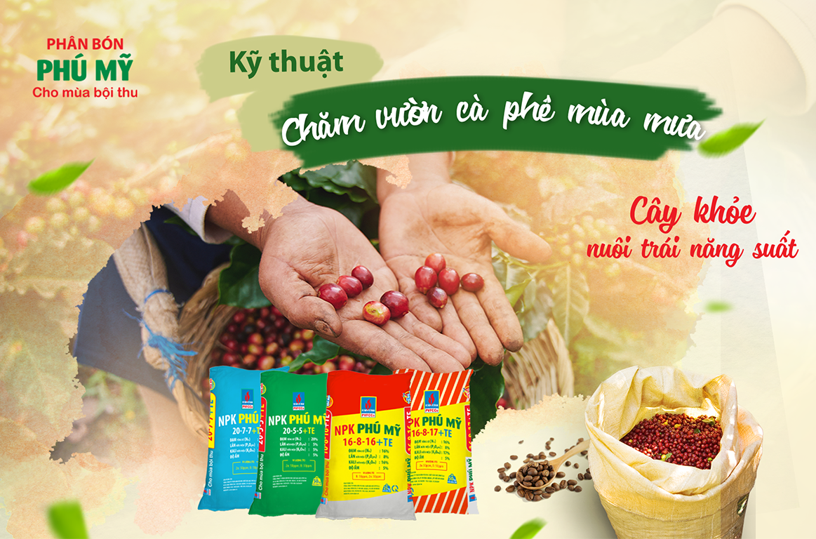 Hướng tiếp cận