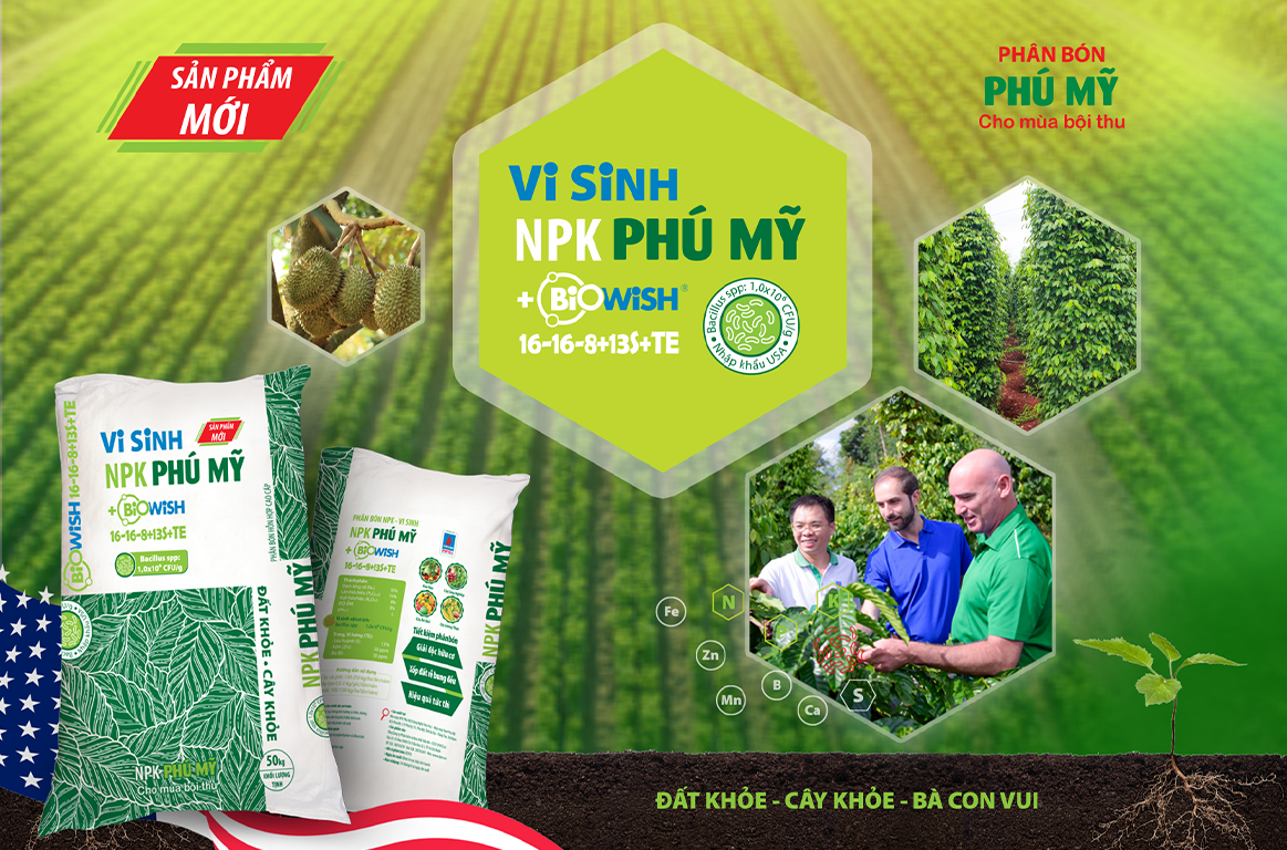 Hướng tiếp cận
