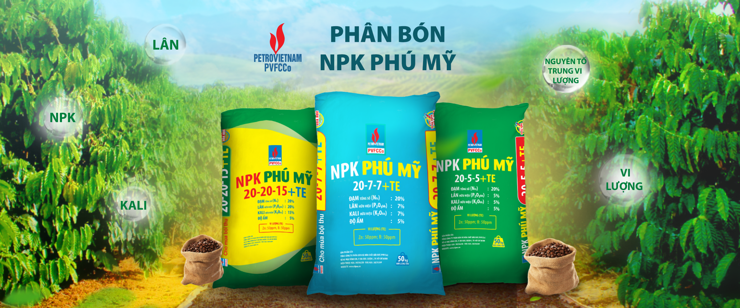  Câu chuyện thành công